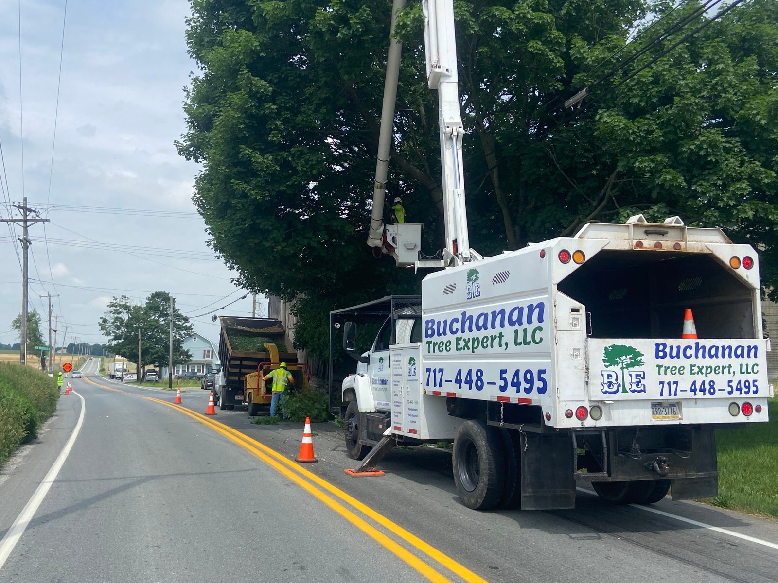 Tree service equipment